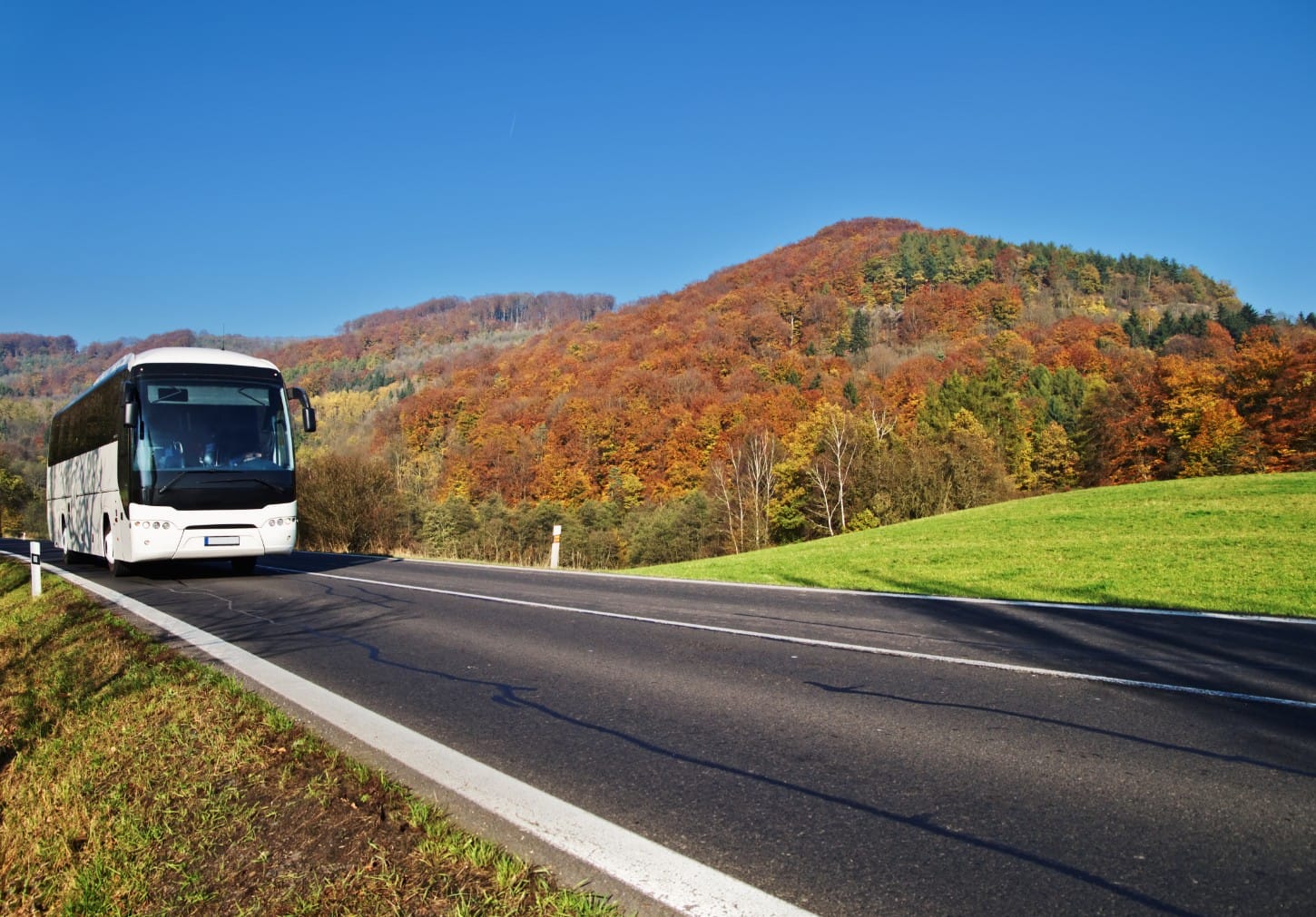 Rent a bus for a day trip